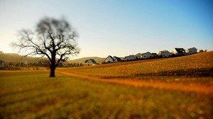 houses, tree, lonely, glade, blur, effect, decrease, utah - wallpapers, picture