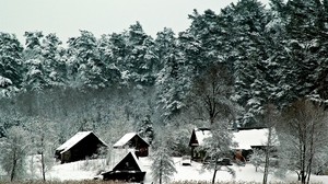 房屋，树木，强大，冬天，雪