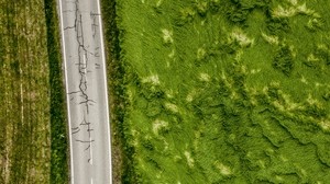 road, top view, greens, grass, asphalt - wallpapers, picture