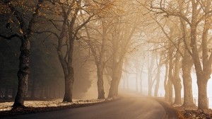 road, alley, turn, fog, asphalt, haze, morning, autumn