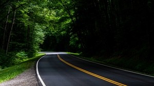 road, asphalt, forest, trees, turn