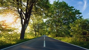 strada, asfalto, marcatura, estate, luce del sole, alberi