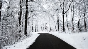 road, asphalt, snow, turn, forest, trees