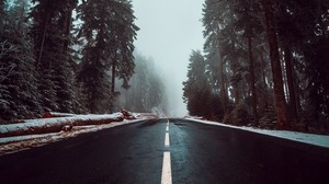 road, asphalt, fog, trees, marking, sky