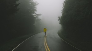 road, man, fog, loneliness, marking, turn