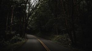 road, trees, asphalt, turn - wallpapers, picture