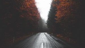 road, trees, autumn, fog, turn, asphalt - wallpapers, picture
