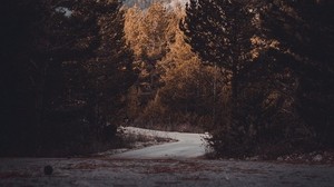 road, trees, turn, autumn