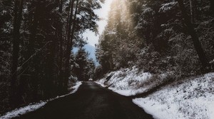 road, trees, snow, winter, branches