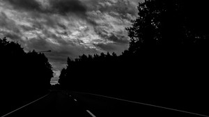 road, trees, dark, turn, black and white (bw)