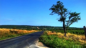 road, tree, landscape - wallpapers, picture