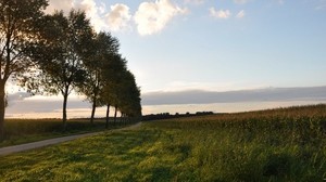 road, trees, turn, sky - wallpapers, picture