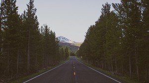 road, trees, marking - wallpapers, picture