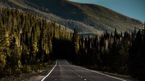 road, mountain, forest, direction, markup, sky - wallpapers, picture