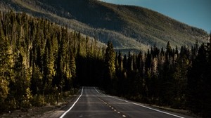 strada, montagna, foresta, direzione, markup, cielo