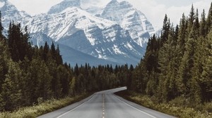 road, mountains, trees, markup