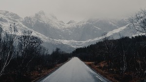 road, mountains, trees, asphalt, wet - wallpapers, picture