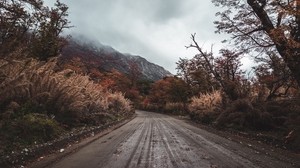 road, mountains, bushes, trees, nature