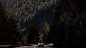 camino, montañas, bosque, laderas, paisaje