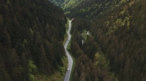 road, mountains, top view, forest, trees