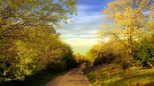 road, dirt, country, trees, spring, puddles - wallpapers, picture