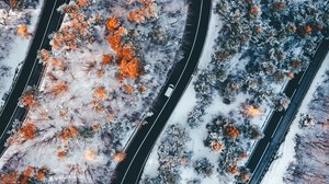 road, winding, trees, snow, panorama, top view, zigzag - wallpapers, picture