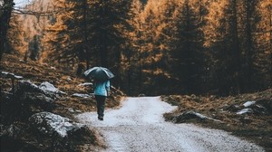 road, forest, man, umbrella, rain