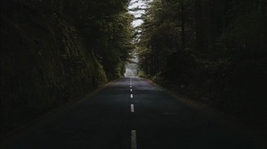 road, forest, trees, path, asphalt, marking - wallpapers, picture