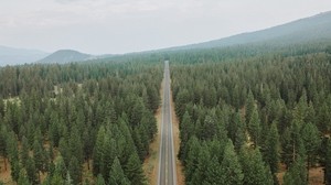 road, forest, panorama, trees, straight, smooth