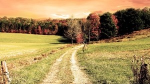 road, forest, field, trees, autumn, colors - wallpapers, picture