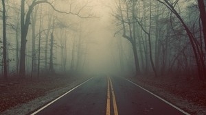 road, forest, fog, marking, lines, mysticism, riddle, haze