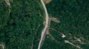 road, forest, top view, trees - wallpapers, picture