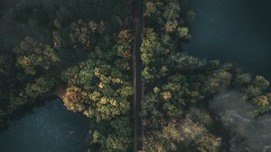 road, forest, top view, fog