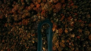 road, forest, top view, turn, trees, tops - wallpapers, picture