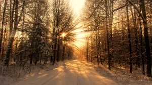 road, forest, winter, snow, trees, sunlight, rays, shadows
