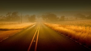road, lines, fog, stripes, suspense, asphalt, fields, grass, autumn