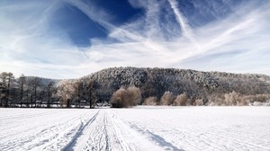 road, sky, white, country, frost, traces, trees, lightness - wallpapers, picture