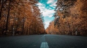 road, autumn, trees - wallpapers, picture