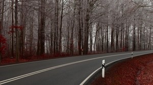 road, autumn, turn - wallpapers, picture