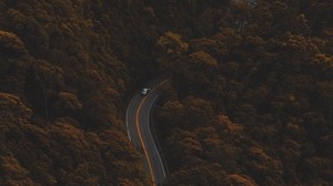 road, autumn, top view, foliage, forest