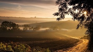 road, train, fog, morning, tree
