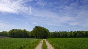 road, field, trees, greens, sky, clouds, blue, green