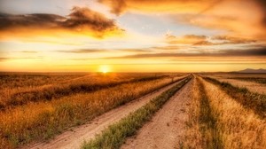 road, field, evening, horizon, sun, clouds, sky