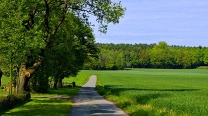 road, field, greens, summer, trees, grass