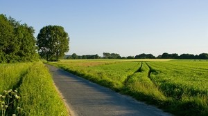 road, field, greens, traces, asphalt, trees - wallpapers, picture