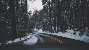 road, turn, trees, snow, asphalt