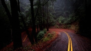 road, turn, marking, asphalt, descent, serpentine, mystery, forest - wallpapers, picture