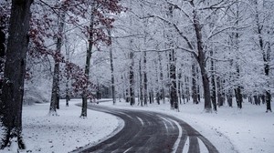 road, turn, snow, winter, trees - wallpapers, picture