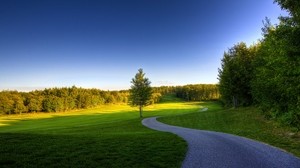 road, turns, bends, tree, meadow - wallpapers, picture