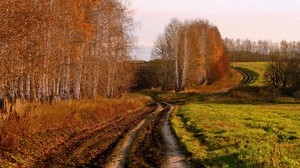 道路，国家，桦木，秋季，俄罗斯，田野